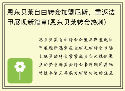 恩东贝莱自由转会加盟尼斯，重返法甲展现新篇章(恩东贝莱转会热刺)