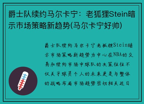 爵士队续约马尔卡宁：老狐狸Stein暗示市场策略新趋势(马尔卡宁好帅)