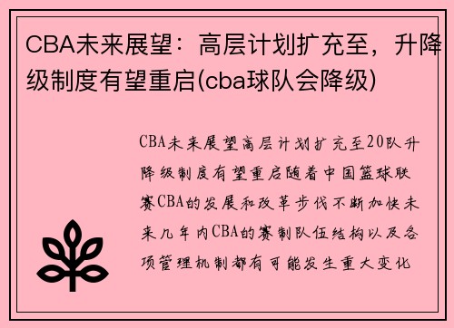 CBA未来展望：高层计划扩充至，升降级制度有望重启(cba球队会降级)